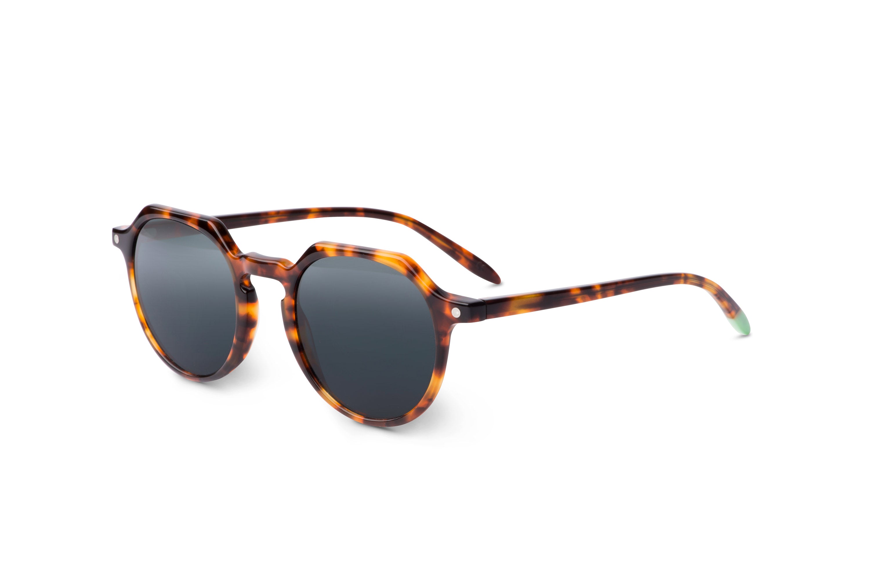 Chobe – Tortoise - SUNGLASSES