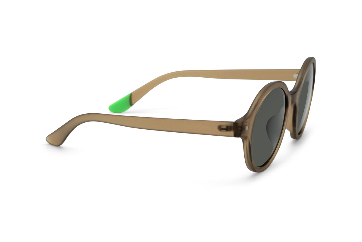 Haven – Walnut - SUNGLASSES