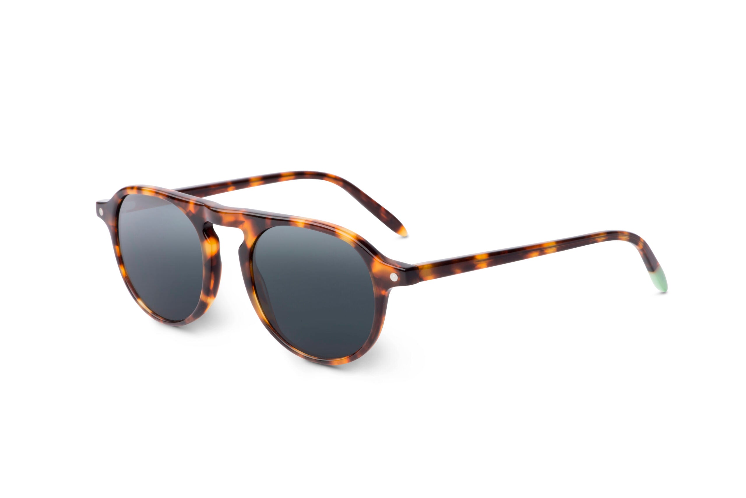 Zingaro – Tortoise - SUNGLASSES